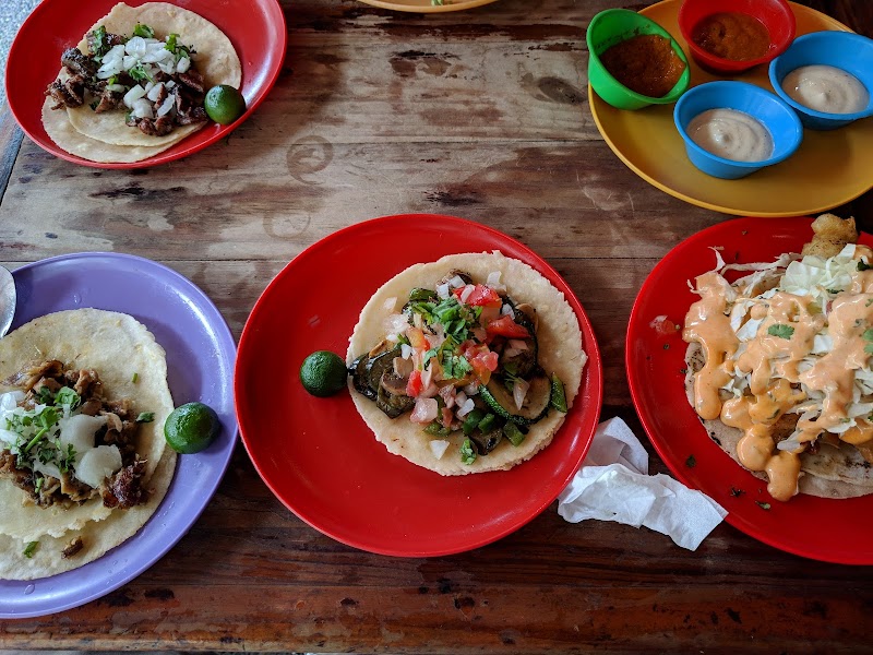 El Chupacabra photo 2